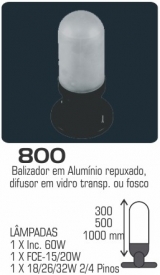 800