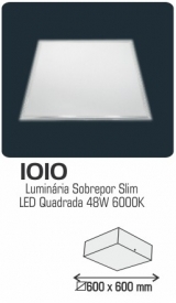 1010