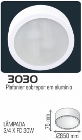 3030