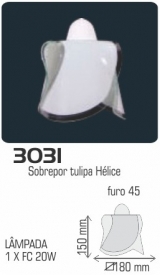 3031
