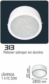 313
