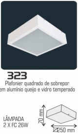 323