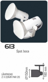 613